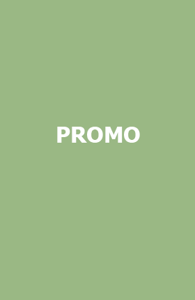 PROMO.png