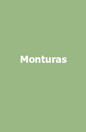 Sin título-3.png