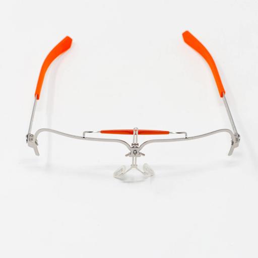 Montura con patilla recta + Estuche  [1]