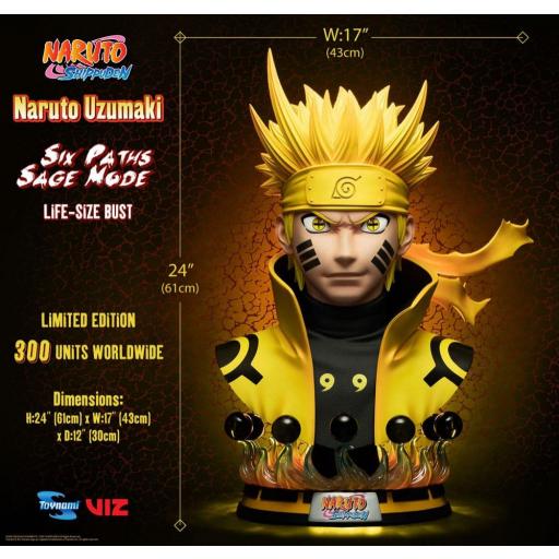 Busto Naruto Shippuden 61 cm [6]