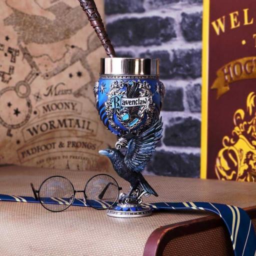 Copa Harry Potter Ravenclaw Nemesis Now 19 cm [0]