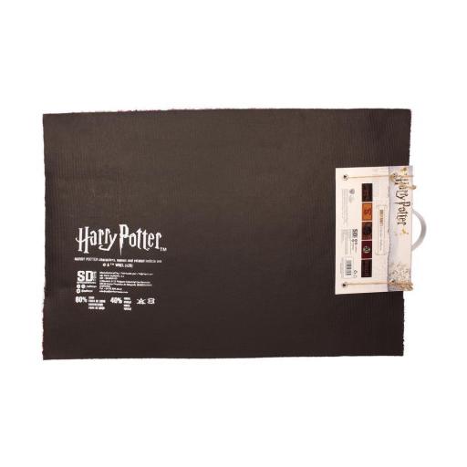 Felpudo Harry Potter Andén 9 3/4  SD toys [2]