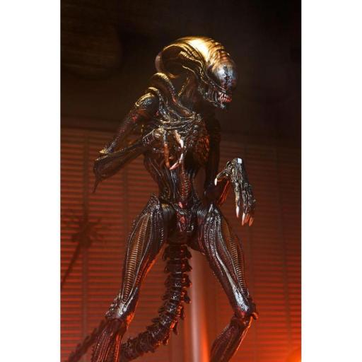 Figura Alien Romulus Scorched Xenomoprh Ultimate Neca 23 cm