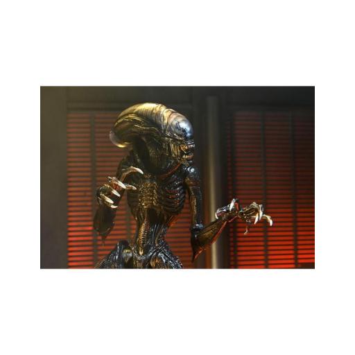 Figura Alien Romulus Scorched Xenomoprh Ultimate Neca 23 cm [2]