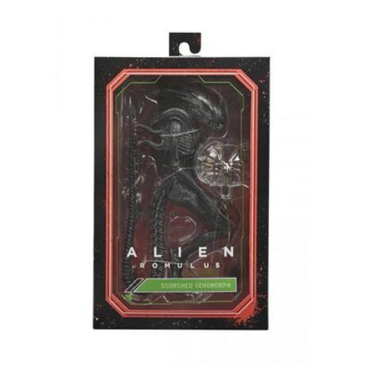 Figura Alien Romulus Scorched Xenomoprh Ultimate Neca 23 cm [5]