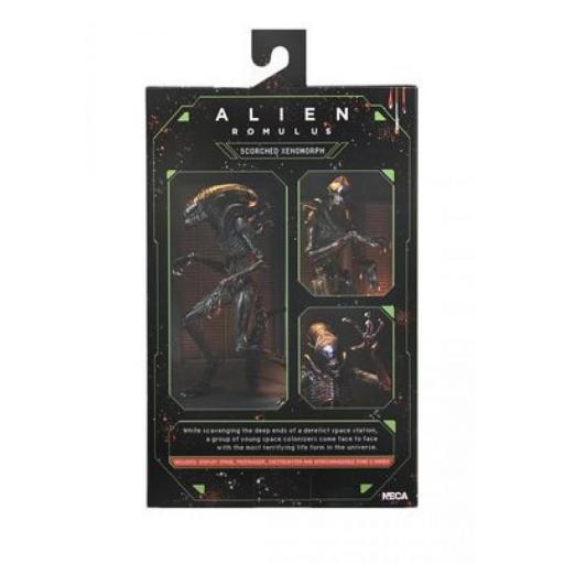 Figura Alien Romulus Scorched Xenomoprh Ultimate Neca 23 cm [6]