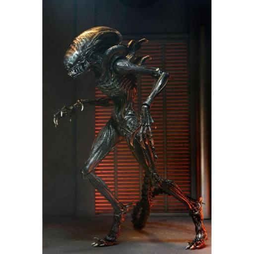 Figura Alien Romulus Scorched Xenomoprh Ultimate Neca 23 cm [1]