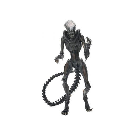 Figura Alien Romulus Scorched Xenomoprh Ultimate Neca 23 cm [4]