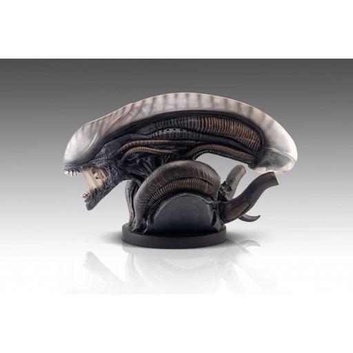 Estatua Alien Romulus Xenomorph Busto HCG 53 cm [5]