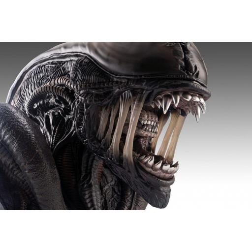 Estatua Alien Romulus Xenomorph Busto HCG 53 cm [1]