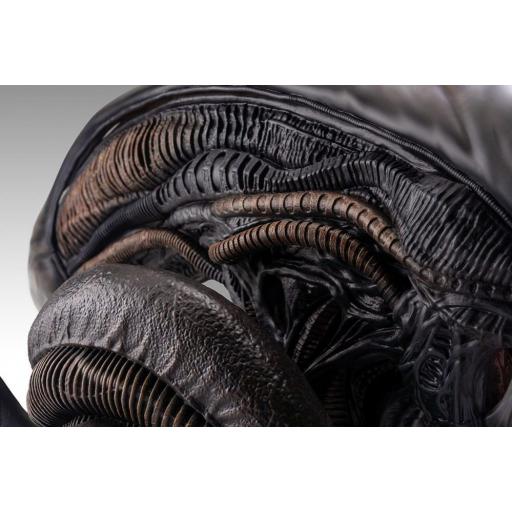 Estatua Alien Romulus Xenomorph Busto HCG 53 cm [6]
