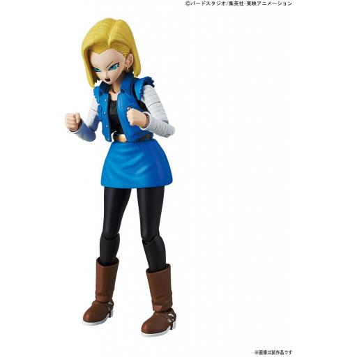 Figura Bandai Hobby kit montaje Dragon Ball Z Android 18 PKG Renewal  15 cm [2]