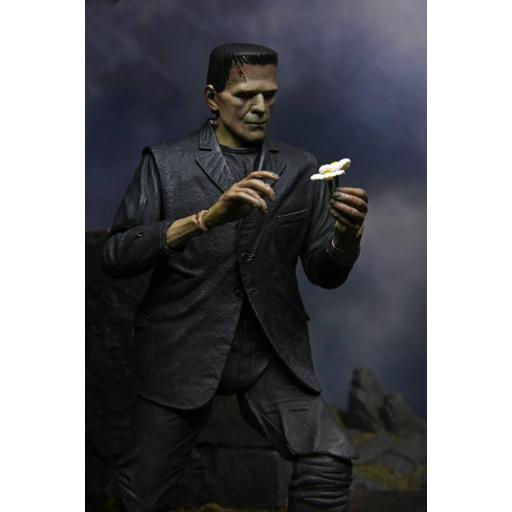 Figura Frankenstein Universal Monsters Ultimate NECA 18 cm [3]