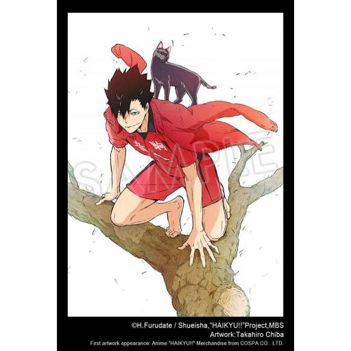 Figura Haikyu!! Tetsuro Kuroo ARTFXJ Kotobukiya 24 cm [7]