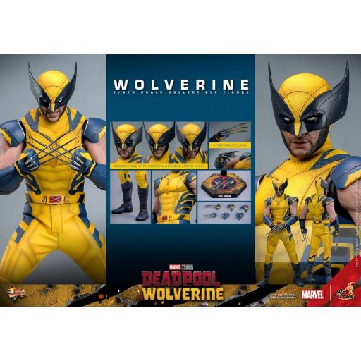 Figura Lobezno Deadpool & Wolverine Hot Toys 31 cm