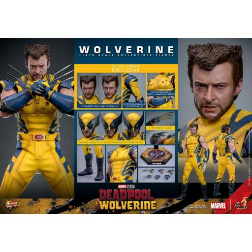 Figura Lobezno Deadpool & Wolverine Hot Toys Deluxe 31 cm