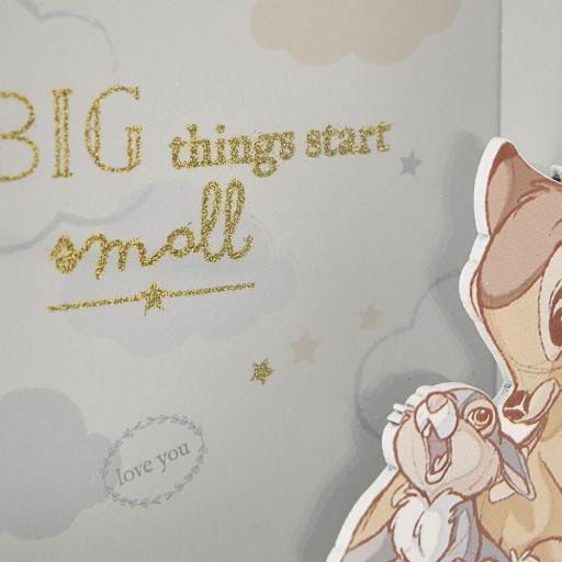 Set Marco de Fotos y Hucha Bambi Disney W&CO  [6]