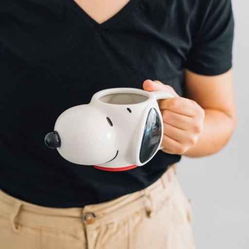 Set Taza 3D y Cuaderno Snoopy In Love Erik [3]