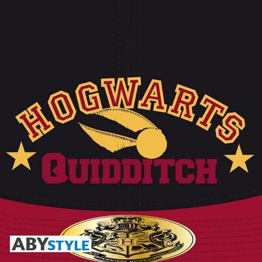 Gorra Harry Potter Quidditch Visera Curva [3]