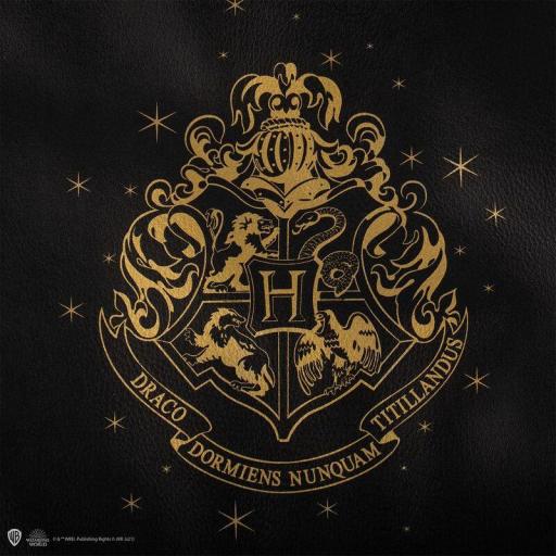 Bolsa Harry Potter Hogwarts Negro [2]