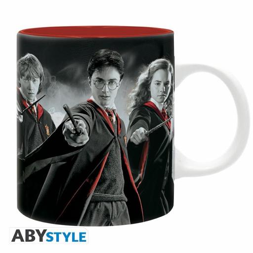 Taza Harry Potter Gryffindor Members
