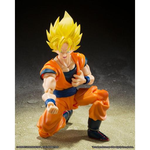 Figura Dragon Ball Z Android 20 S.H. Figuarts 13 cmx_btn65032-0_g.jpg [6]