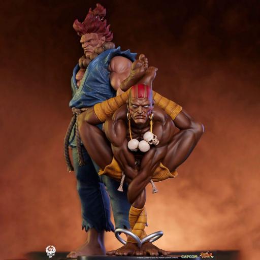 Figura PCS Street Fighter Akuma & Dhalsim 21 cm [3]