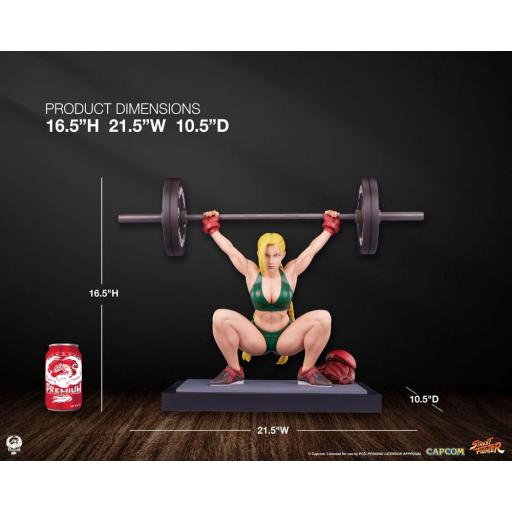 Estatua Street Fighter Cammy: Powerlifting PCS 41 cm [7]