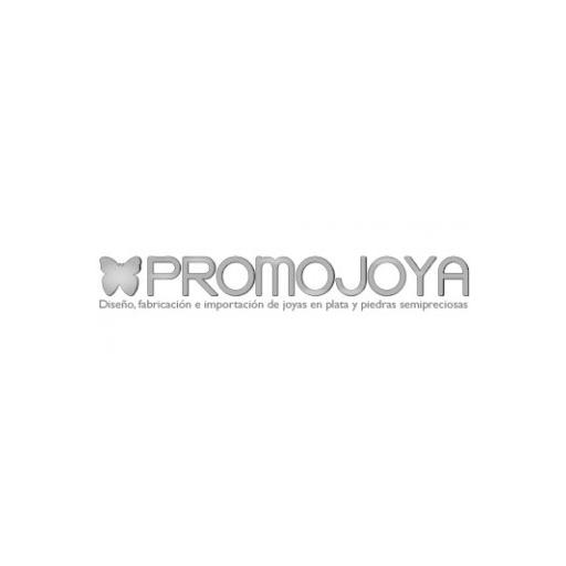 Logo de Promojoya