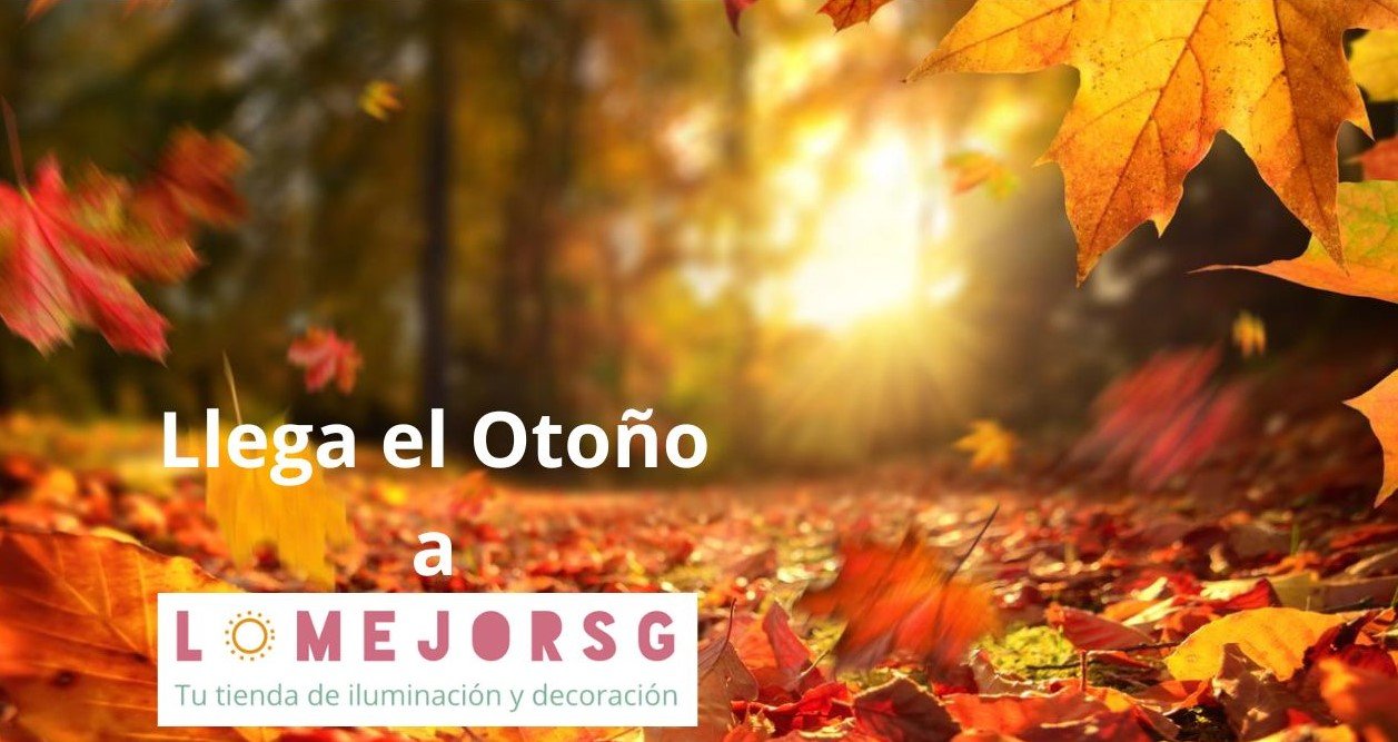 Llega el Otoño a (2).jpg