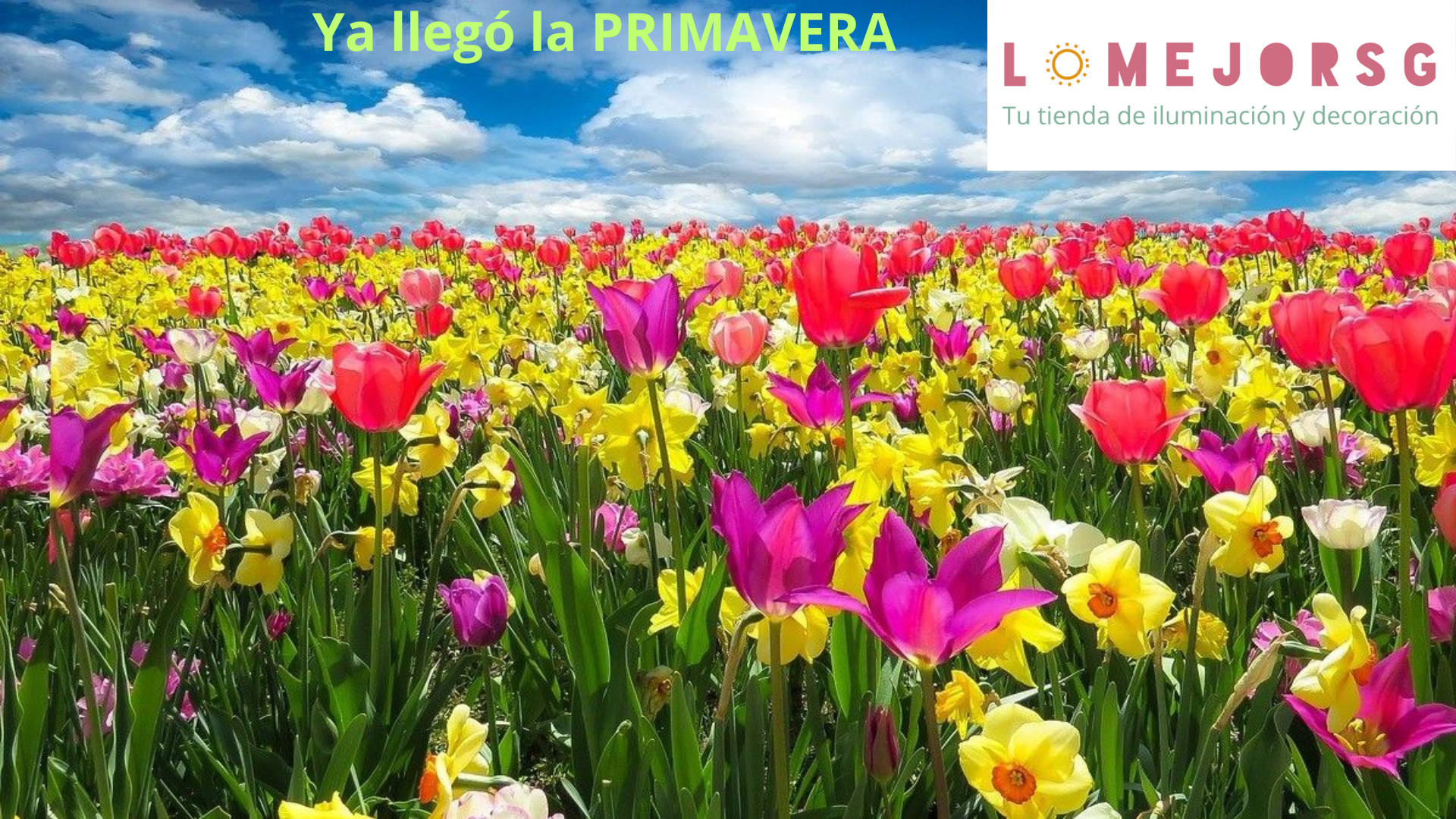 Ya llegó la PRIMAVERA.png