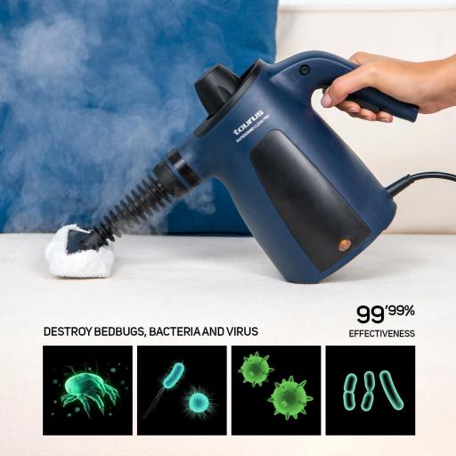 VAPORETA DE MANO TAURUS RAPIDISSIMO CLEAN PRO	 [1]