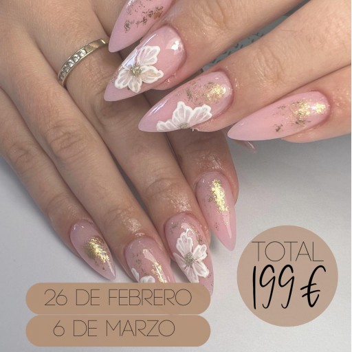 INICIACIÓN ACRYGEL [0]