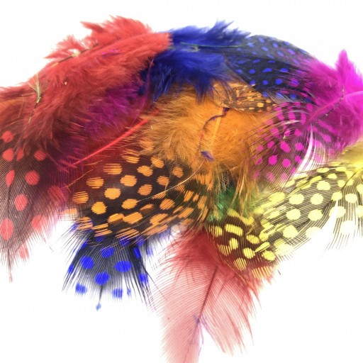 Plumas  [0]