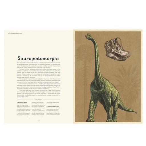 Dinosaurium [2]