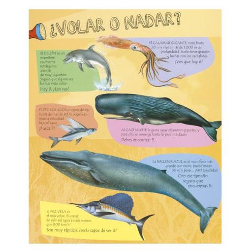 Libro linterna: Animales del mar  [2]