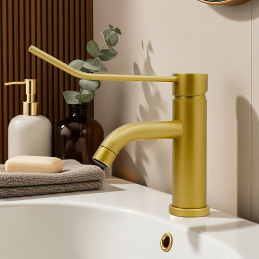 501106244 Monomando Lavabo Gerontológico