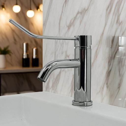 501106110 Monomando Lavabo Gerontológico