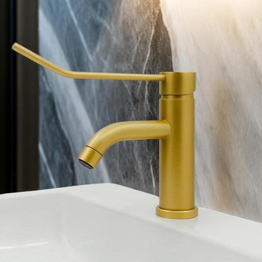 501106244 Monomando Lavabo Gerontológico