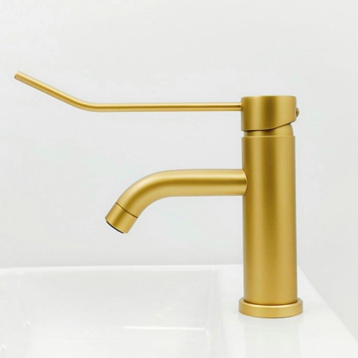 501106244 Monomando Lavabo Gerontológico [2]