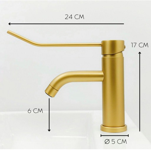 501106244 Monomando Lavabo Gerontológico [4]