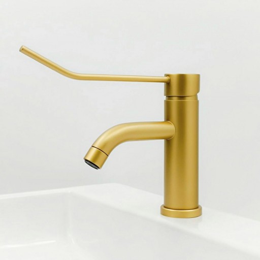 501106244 Monomando Lavabo Gerontológico [3]