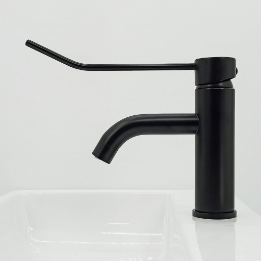 501106370 Monomando Lavabo Gerontológico [2]