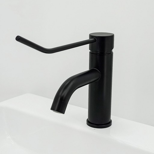 501106370 Monomando Lavabo Gerontológico [1]