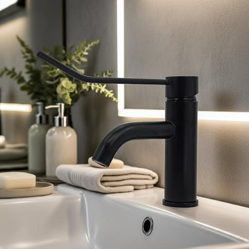 501106370 Monomando Lavabo Gerontológico