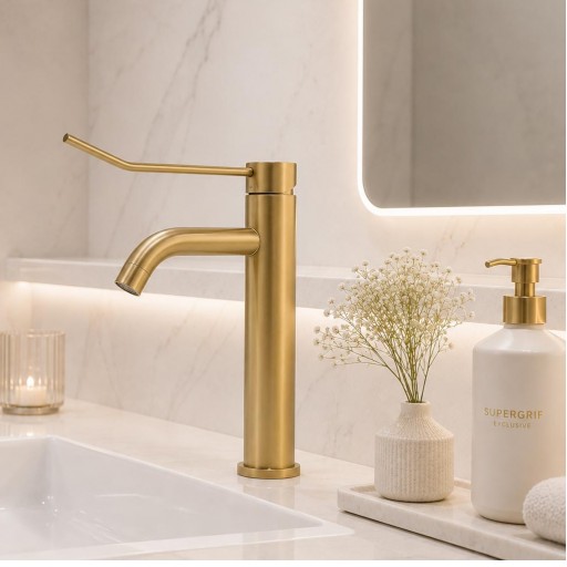 501108244 Monomando Lavabo Alto Gerontológico