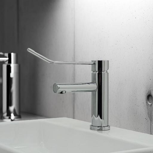 502106110 Monomando Lavabo gerontológico