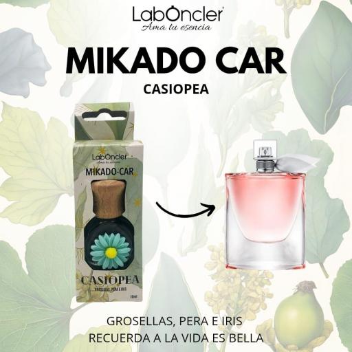 mikado-car-laboncler-casiopea.jpg [7]