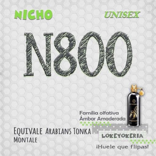 n800-equivalencia-arabians-tonka-lokeyokeria.jpg