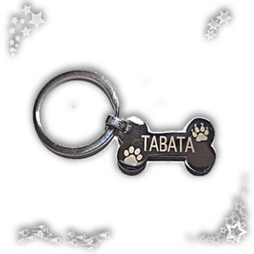 Llavero acero personalizado con nombre o chapa mascota [1]